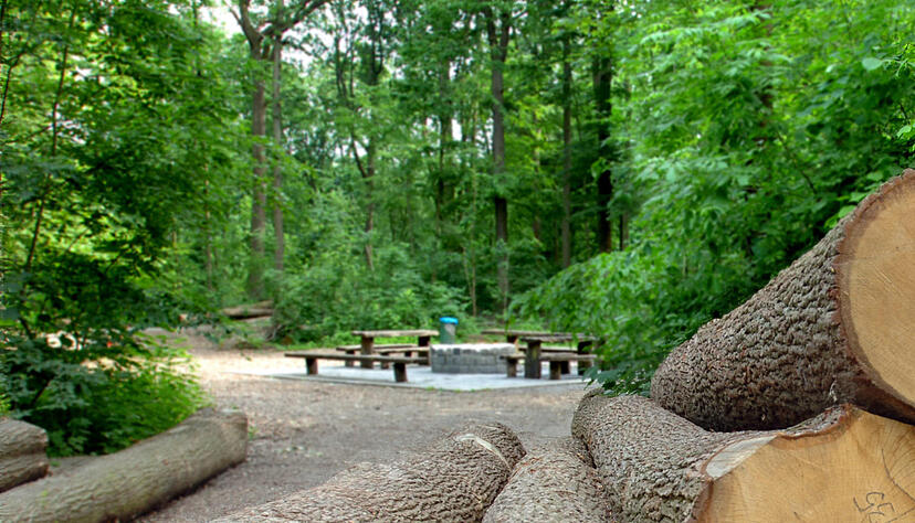 Foto: Archiv/Kugler Foto: Archiv/Kugler