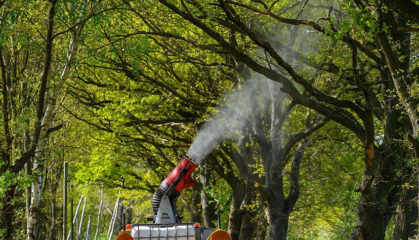 Ein Lastwagen mit einer montierten Sprühkanone bekämpft Eichenprozessionsspinner. Ein Lastwagen mit einer montierten Sprühkanone bekämpft Eichenprozessionsspinner.
