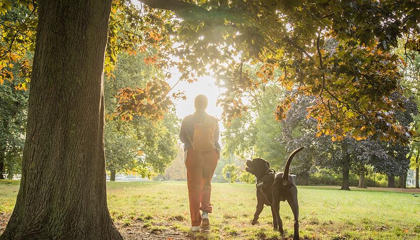 Vorsicht beim Spaziergang: Kastanien wecken bei Hunden den Spieltrieb, können aber gefährlich sein.