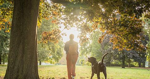 Vorsicht beim Spaziergang: Kastanien wecken bei Hunden den Spieltrieb, können aber gefährlich sein. Vorsicht beim Spaziergang: Kastanien wecken bei Hunden den Spieltrieb, können aber gefährlich sein.