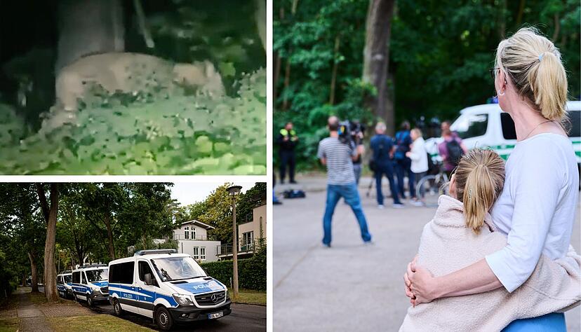 Die Polizei in Berlin sucht seit Donnerstagnacht nach einer entlaufenen Löwin. Ein Anwohner berichtet von der großangelegten Suchaktion. Die Polizei in Berlin sucht seit Donnerstagnacht nach einer entlaufenen Löwin. Ein Anwohner berichtet von der großangelegten Suchaktion.