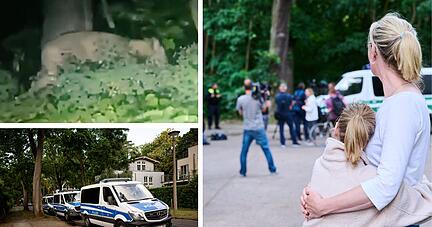 Die Polizei in Berlin sucht seit Donnerstagnacht nach einer entlaufenen Löwin. Ein Anwohner berichtet von der großangelegten Suchaktion.