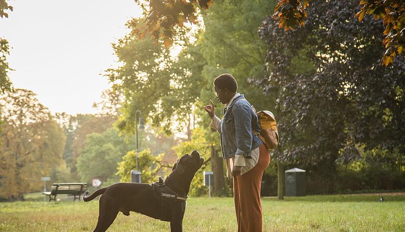 H&ouml;rt aufs Wort: Hundeerziehung ist kein Selbstl&auml;ufer, man muss etwas daf&uuml;r tun.