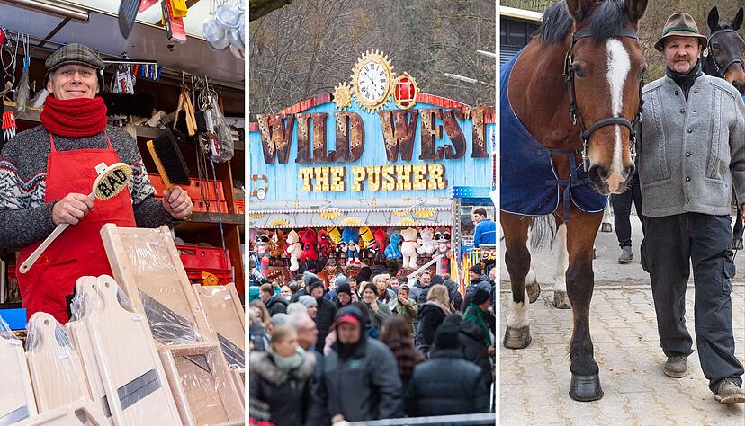Nützliches, Skurriles und Praktisches, einen Vergnügungspark und Pferdeprämierungen: All das gibt es am letzten Februar-Wochenende beim Heilbronner Pferdemarkt.