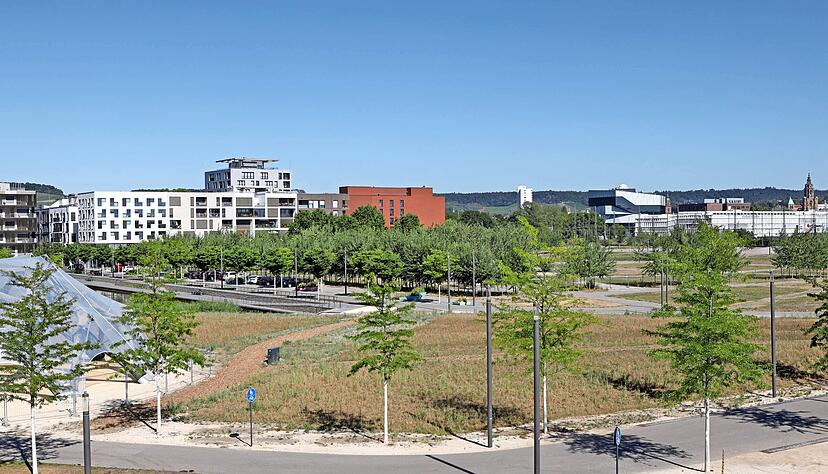 Im zweiten Bauabschnitt des Neckarbogens entlang des Floßhafens sollen rund doppelt so viele geförderte Wohnungen entstehen wie im Modellquartier.
Foto: Ralf Seidel Im zweiten Bauabschnitt des Neckarbogens entlang des Floßhafens sollen rund doppelt so viele geförderte Wohnungen entstehen wie im Modellquartier.
Foto: Ralf Seidel