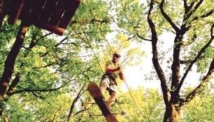 Neues Leben im Landschaftspark beim Langenburger Schloss: Im April wird dort der Waldkletterpark Hohenlohe eröffnet.Foto: privat Neues Leben im Landschaftspark beim Langenburger Schloss: Im April wird dort der Waldkletterpark Hohenlohe eröffnet.Foto: privat
