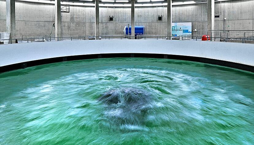 Wasser strömt in das Quellbecken des Zweckverbands Bodensee-Wasserversorgung (BWV) bei Überlingen. Für die Verteilung gibt es im kommenden Jahr neue Regeln. Wasser strömt in das Quellbecken des Zweckverbands Bodensee-Wasserversorgung (BWV) bei Überlingen. Für die Verteilung gibt es im kommenden Jahr neue Regeln.