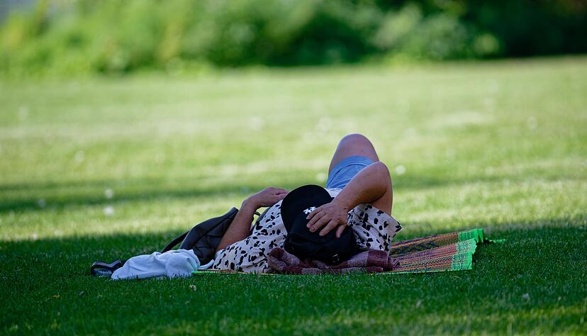 Heute sollte man sich schattige Plätzchen suchen. Heute sollte man sich schattige Plätzchen suchen.