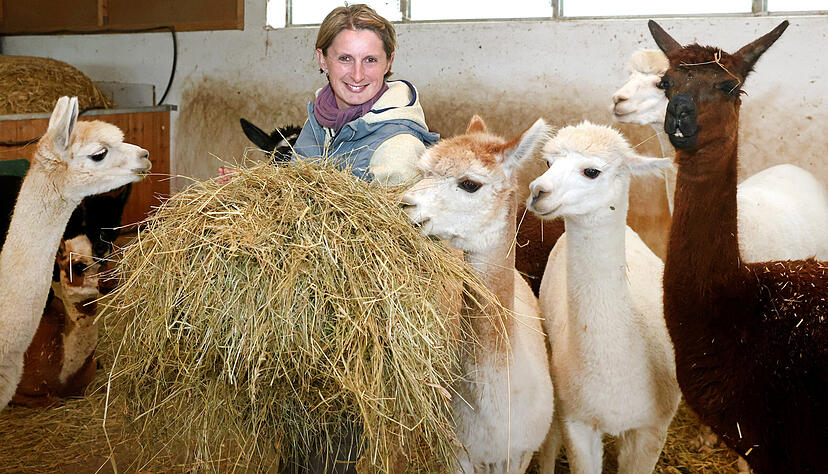 Kathrin Seidel inmitten ihrer Alpakas auf dem Maienackerhof in Bad Friedrichshall-Kochendorf
