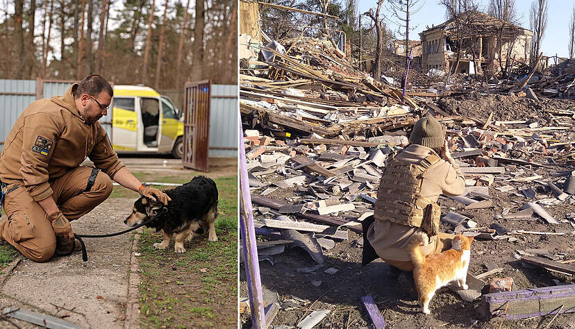 Jan Franke (links) hatte im Frühjahr diesen Hund aus einem Haus bei Irpin in der Ukraine befreit. Der Halter sei nach Angaben von Nachbarn bei Angriffen ums Leben gekommen, sagt Franke. Im Kriegsgebiet – hier rechts in Butscha – treffen die Helfer auf Zerstörung. Jan Franke (links) hatte im Frühjahr diesen Hund aus einem Haus bei Irpin in der Ukraine befreit. Der Halter sei nach Angaben von Nachbarn bei Angriffen ums Leben gekommen, sagt Franke. Im Kriegsgebiet – hier rechts in Butscha – treffen die Helfer auf Zerstörung.