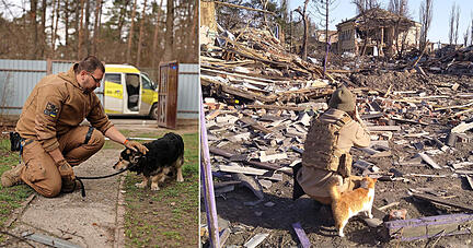 Jan Franke (links) hat diesen Hund aus einem Haus bei Irpin befreit. Der Halter sei nach Angaben von Nachbarn bei Angriffen ums Leben gekommen, sagt Franke. Im Kriegsgebiet – hier rechts in Butscha, das zuletzt durch mutmaßliche Gräueltaten der russischen Armee bekannt wurde – treffen die Helfer auf Zerstörung. Fotos: privat