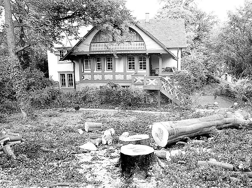 Die 125 Jahre alte Buche im Garten des Kernerhauses muss im August 1999 gefällt werden. Im Hintergrund ist das Justinus-Kerner-Haus mit dem Holzanbau sichtbar. Die 125 Jahre alte Buche im Garten des Kernerhauses muss im August 1999 gefällt werden. Im Hintergrund ist das Justinus-Kerner-Haus mit dem Holzanbau sichtbar.