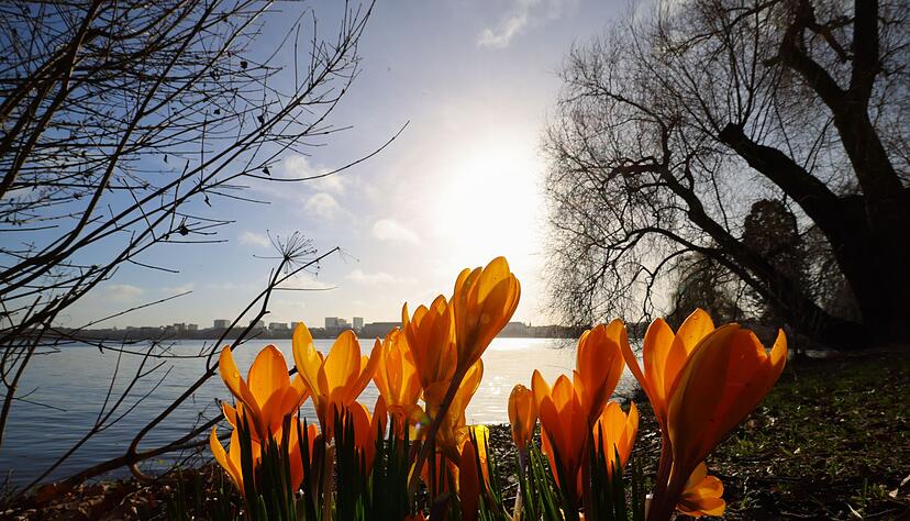 In der n&auml;chsten Woche wird es wieder w&auml;rmer und sonniger.