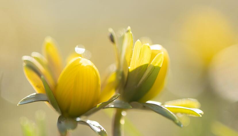 Manche Menschen reagieren st&auml;rker als andere auf Wetter&auml;nderungen. (Symbolbild)