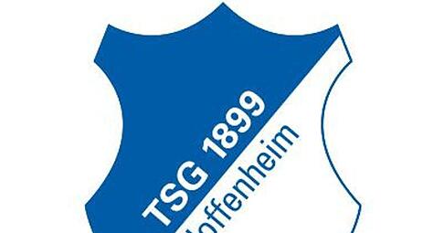 Das Logo des Fußball-Erstligisten TSG 1899 Hoffenheim. Foto: