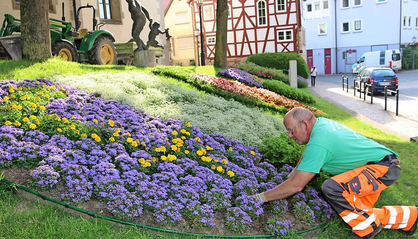 Möckmühl und die Partnerstädte in allen ihren Farben hat Gärtnermeister Thomas Baltus mit Hilfe von Georg Geißler aus der Schlosserei des Bauhof umgesetzt.