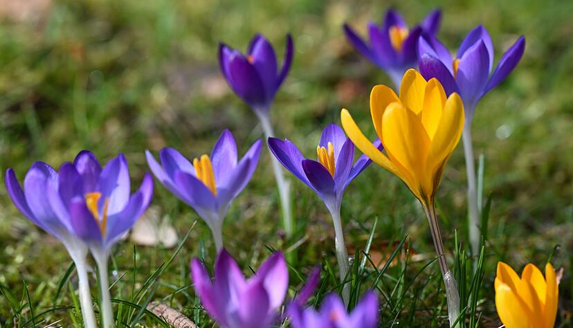 Gerade in den vergangenen Tagen gab es Sonne in Deutschland.