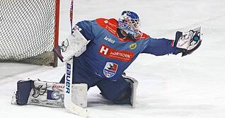 Wie lange tr&auml;gt Patrick Berger noch das Falken-Trikot?