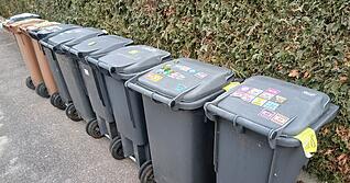 Das Abholen der M&uuml;lltonnen sorgt im Landkreis f&uuml;r Unmut.