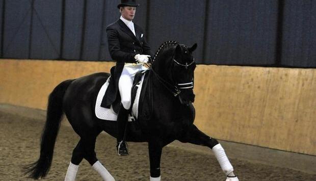 Dressurreiter Matthias-Alexander Rath reitet bei seiner Präsentation auf Totilas.