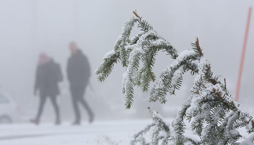In den Mittelgebirgen wie dem Harz wird am Mittwoch Neuschnee erwartet. In den Mittelgebirgen wie dem Harz wird am Mittwoch Neuschnee erwartet.