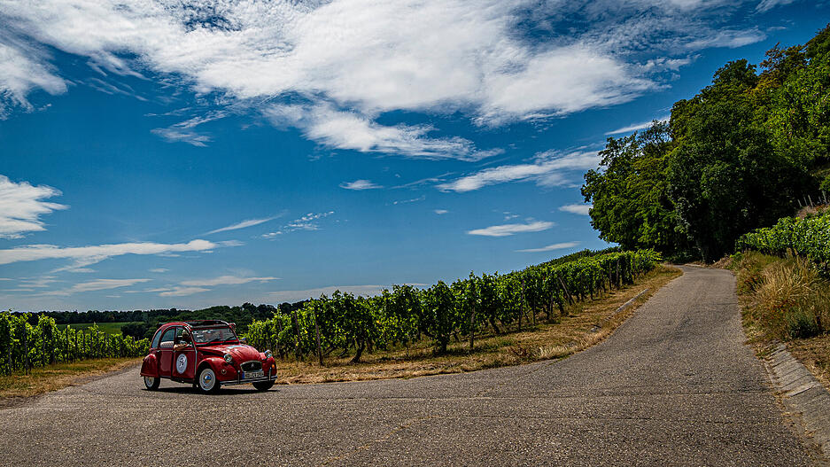 Bei der Rallye Heidelberg Historic ging es auch durch die Weinberge.