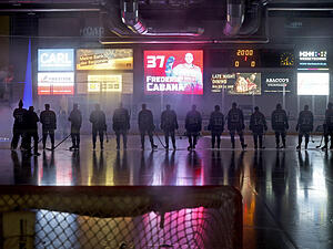 Ein Szenario wie im vergangenen Sommer, als die Falken die Lizenz erst erstritten haben, k&ouml;nnen sich die Macher der neuen Falken nicht vorstellen.
