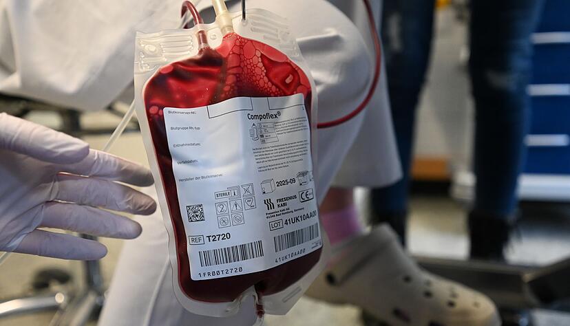 Tendenziell nehmen Bluttransfusionen bei Hunden zu, weil Besitzer bereit sind, teils auch viel Geld zu bezahlen.