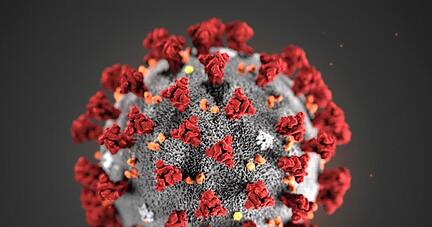 Je «schöner» eine bildliche Darstellung des Coronavirus ausfällt, als desto weniger ansteckend wird das Virus empfunden.