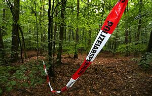 In diesem Wald bei Kist wurde der Entführte aufgefunden. In diesem Wald bei Kist wurde der Entführte aufgefunden.