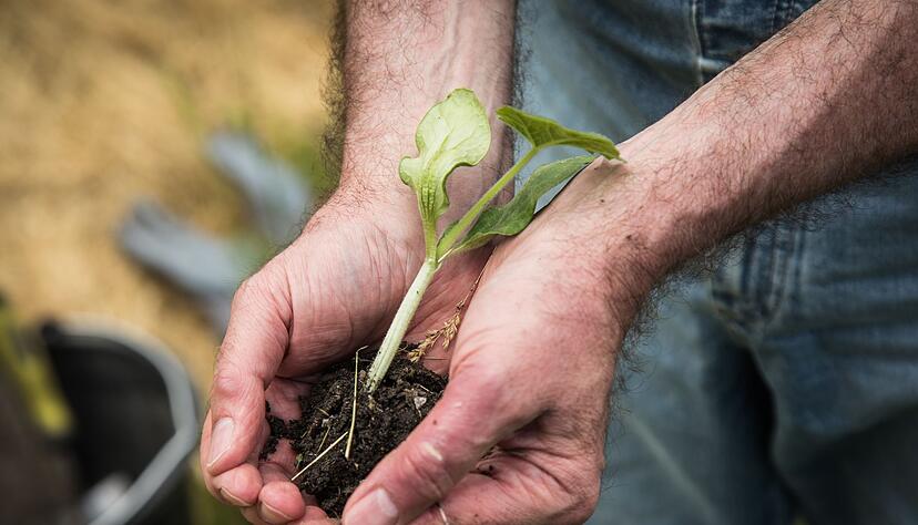 G&auml;rtnern tut der Seele gut: F&uuml;r viele ist Gartenarbeit ein Ausgleich zum Alltag und ein Weg zu besserer Stimmung.