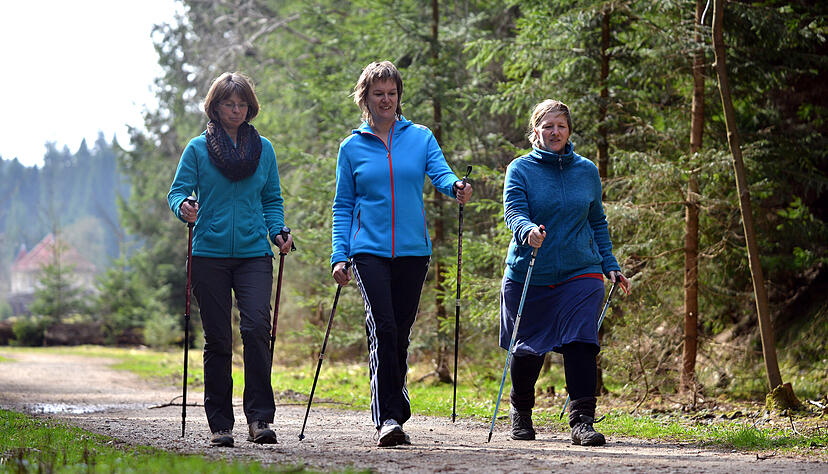 Nordic Walking ist echter Ganzkörpersport, allerdings ist die richtige Ausführung extrem wichtig. Foto: Archiv/dpa Nordic Walking ist echter Ganzkörpersport, allerdings ist die richtige Ausführung extrem wichtig. Foto: Archiv/dpa