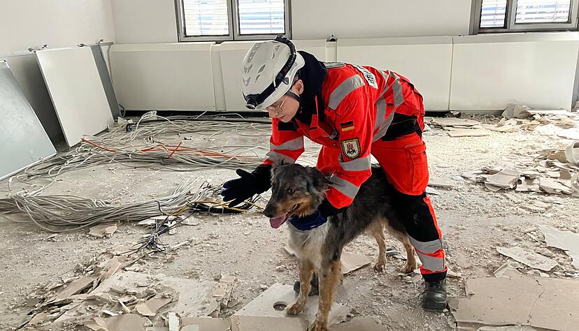 Saskia Schmid gibt Merlin ein Handzeichen und das Kommando: "Such!"
