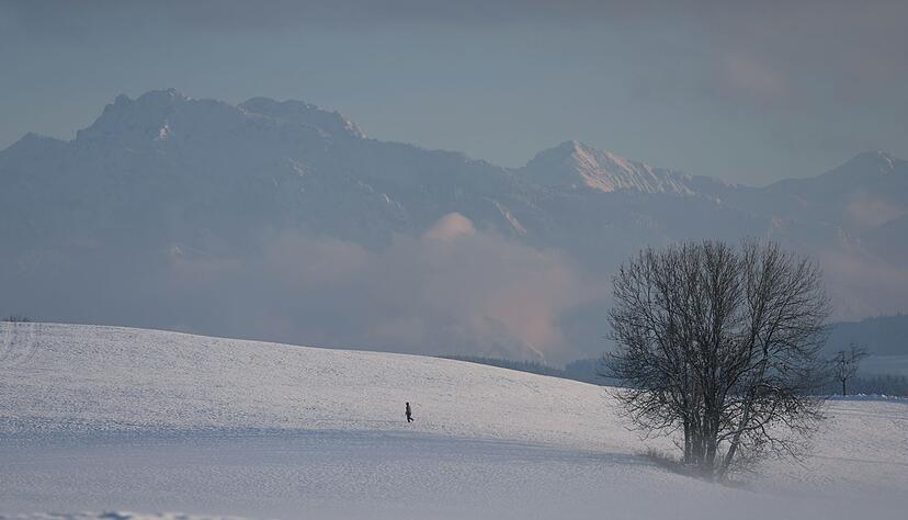 Der Deutsche Wetterdienst gibt an diesem Freitag seine Bilanz f&uuml;r den Herbst bekannt. (Symbolbild)