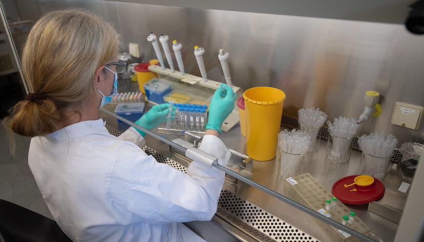 Eine Mitarbeiterin des Landesgesundheitsamts Baden-W&uuml;rttemberg pipettiert Coronaproben. Das Landesgesundheitsamt ist fachliche Leitstelle f&uuml;r den  &ouml;ffentlichen Gesundheitsdienst in Baden-W&uuml;rttemberg. In der Coronakrise laufen dort die F&auml;den zusammen. Foto: dpa