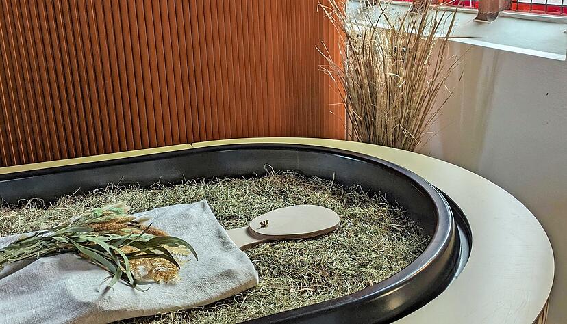 Darstellung eines Leichnams, wie er in einen Kokon des Unternehmens Meine Erde gebettet wird. In 40 Tagen verwandeln Mikroorganismen den Toten zu Erde.