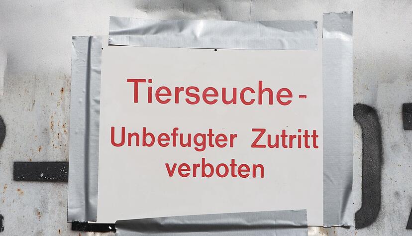 Die Gefl&uuml;gelpest versetzt Beh&ouml;rden und Landwirte in Alarmbereitschaft. (Archibbild)
