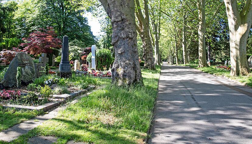 140 Jahre alte Platanen säumen die Hauptachse des Hauptfriedhofs. Mehr als 1400 Großbäume sorgen für ein gutes Klima. Friedhöfe sind auch Orte für Pflanzen, die nicht überall wachsen.
Fotos: Andreas Veigel 140 Jahre alte Platanen säumen die Hauptachse des Hauptfriedhofs. Mehr als 1400 Großbäume sorgen für ein gutes Klima. Friedhöfe sind auch Orte für Pflanzen, die nicht überall wachsen.
Fotos: Andreas Veigel