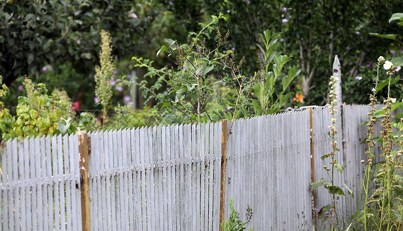 Wenn man ein paar wichtige Tipps im Kopf beh&auml;lt, k&ouml;nnen viele Streitigkeiten unter Nachbarn verhindert werden. (Symbolbild)