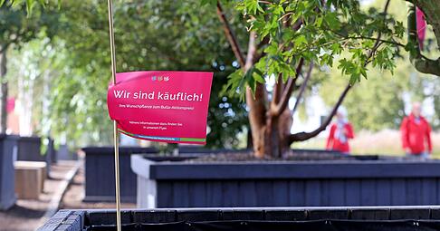 Mancher Besucher würde gerne ein paar Buga-Pflanzen in den heimischen Garten setzen: Kübelpflanzen werden über die Gärtnereien verkauft. Für einen Teil der eingepflanzten Stauden gibt es einen Verkaufstermin im November.
Foto: Ralf Seidel