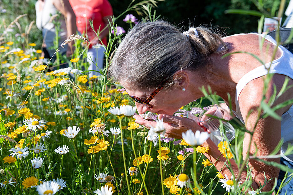 XXL-Lesersommer: Naturgartenbesuch bei Heimatreporter Magnus Diller in Oedheim