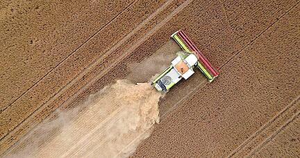 Im Sommer trocken, im Winter windig: Die Felder m&uuml;ssen vor Erosion gesch&uuml;tzt werden. .
Foto: Steffen Schellhorn