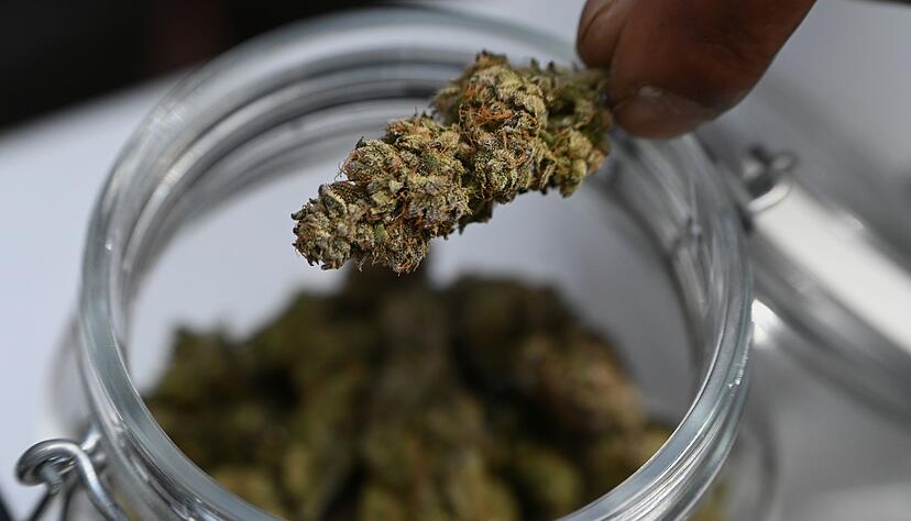 Cannabisvereinigungen m&uuml;ssen viele Regeln einhalten f&uuml;r Anbau. (Symbolfoto)