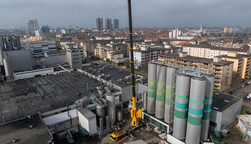 Die Eichbaum-Brauerei in Mannheim wurde im Jahr 1679 gegründet. Nun steht das Unternehmen vor einer schweren Zeit. Die Eichbaum-Brauerei in Mannheim wurde im Jahr 1679 gegründet. Nun steht das Unternehmen vor einer schweren Zeit.