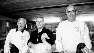 Ehrenmitglied Ferde Lock mit Welsumer Hahn, Ausstellungsleiter Martin Herold mit Fr&auml;nkischer Landgans und stellvertretender Ausstellungsleiter Joachim Regenspurger mit Rouen-Erpel (von links). (Foto: Edgar Herterich)