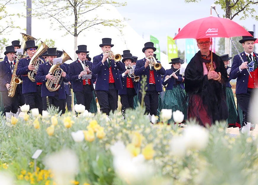Blasmusik im Regen auf der Buga