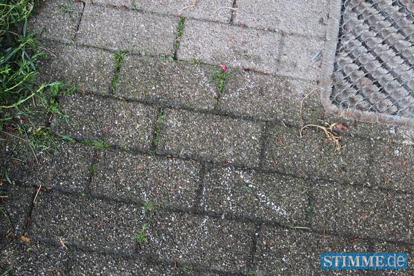 Tödliche Schießerei in Lehrensteinsfeld | 07.07.12 Tödliche Schießerei in Lehrensteinsfeld | 07.07.12