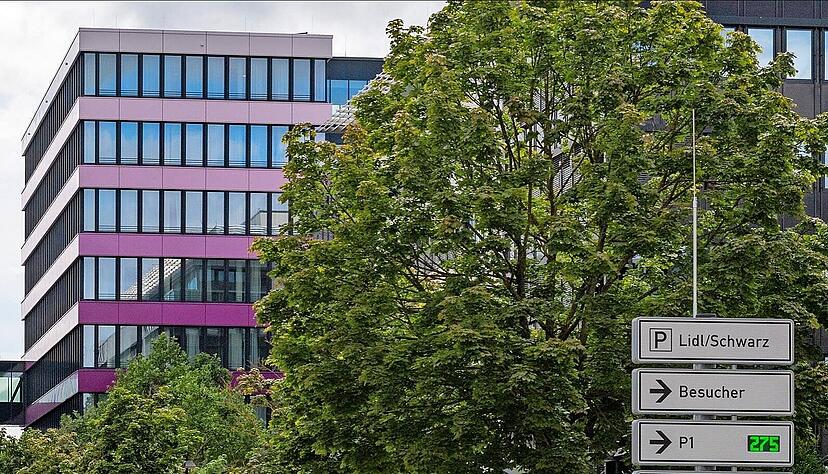 Die Schwarz-Gruppe beschäftigte  in Heilbronn-Franken deutlich mehr Mitarbeiter als vor einem Jahr.