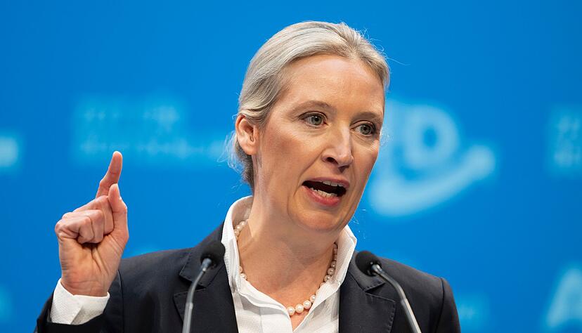 AfD-Chefin Alice Weidel beim Parteitag im Januar 2025 in Riesa: &laquo;Dann hei&szlig;t es eben Remigration&raquo; (Archivbild)