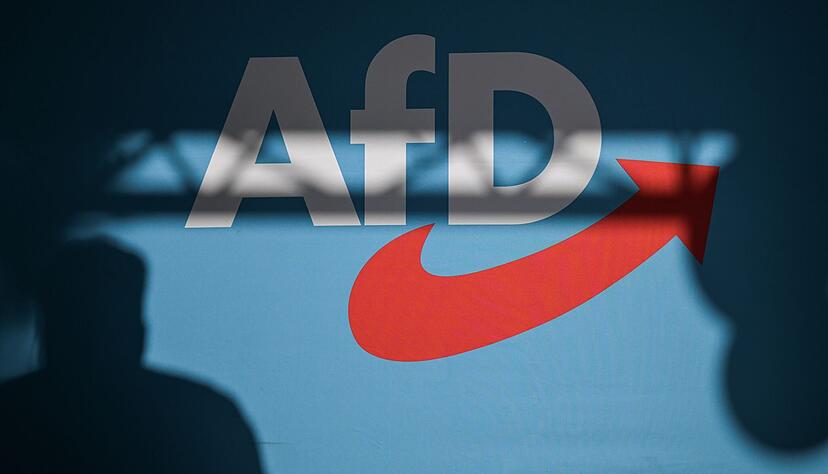 Nützt ein Verbotsverfahren der AfD oder schadet es der Partei? Darüber sind sich die Deutschen nicht einig.